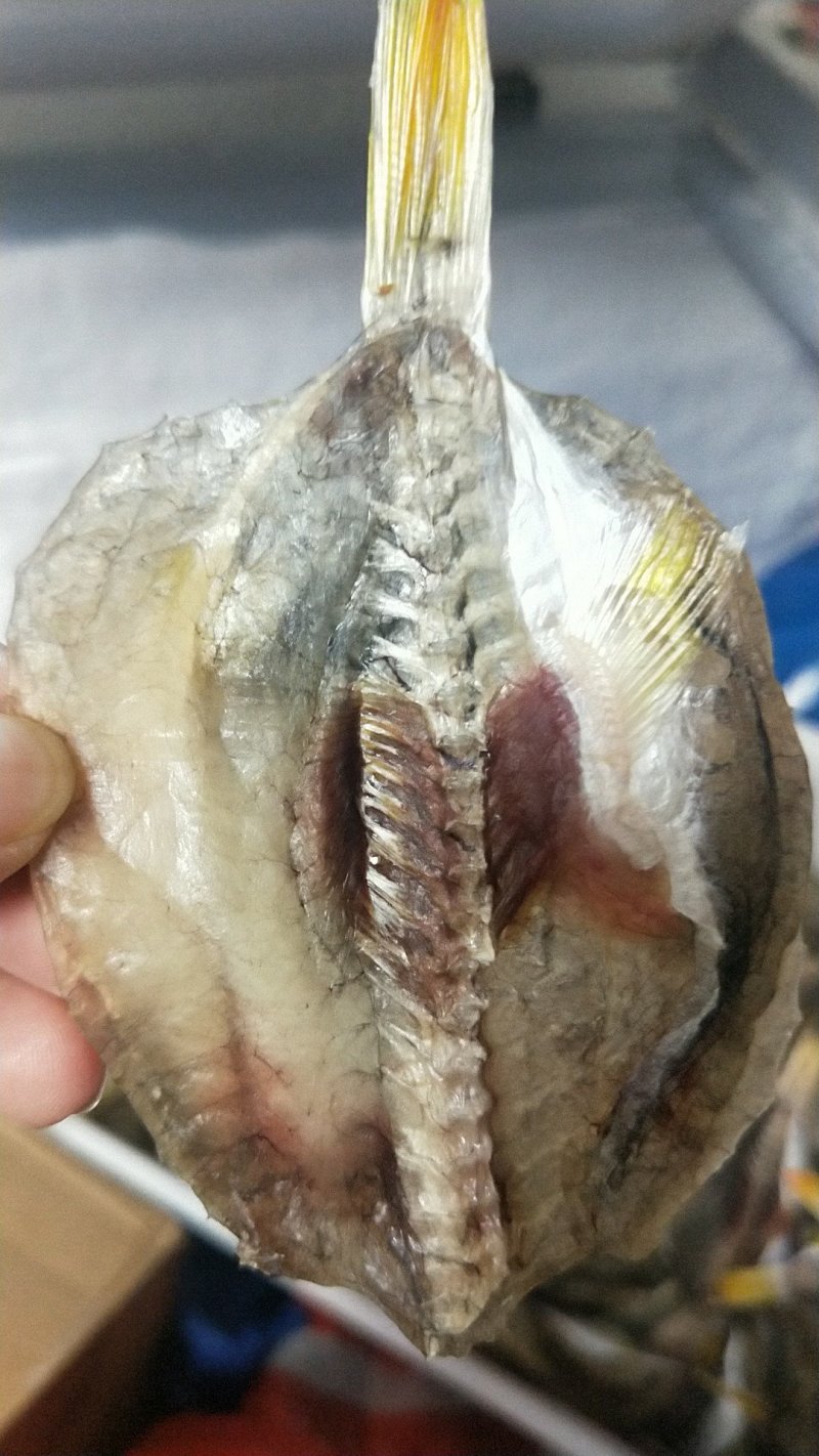 河豚鱼干