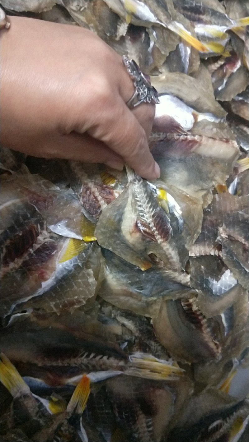 河豚鱼干