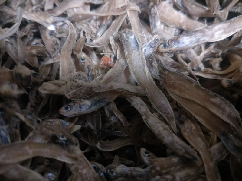 小鱼干