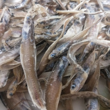 小鱼干