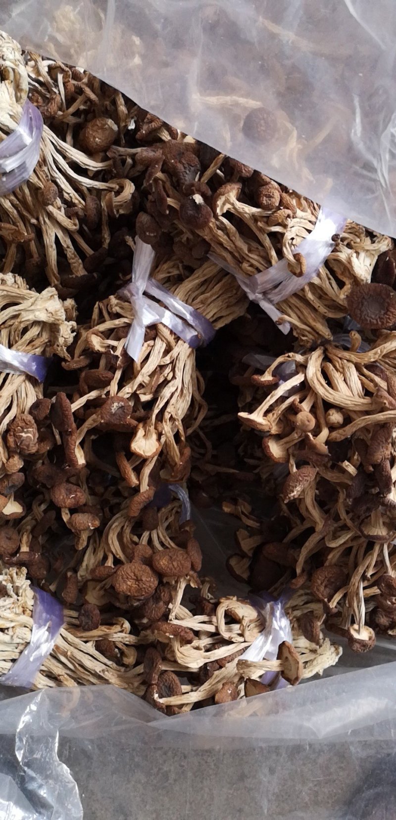 广昌特级茶树菇干货不开伞剪脚扎把产地直销食用菌批发