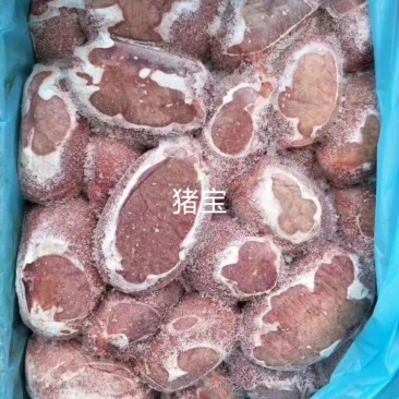 猪宝