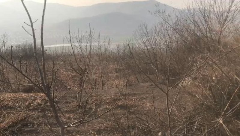 出租转让山场济南市长清区双泉镇庞庄村。