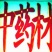 常年吴茱萸苗出售