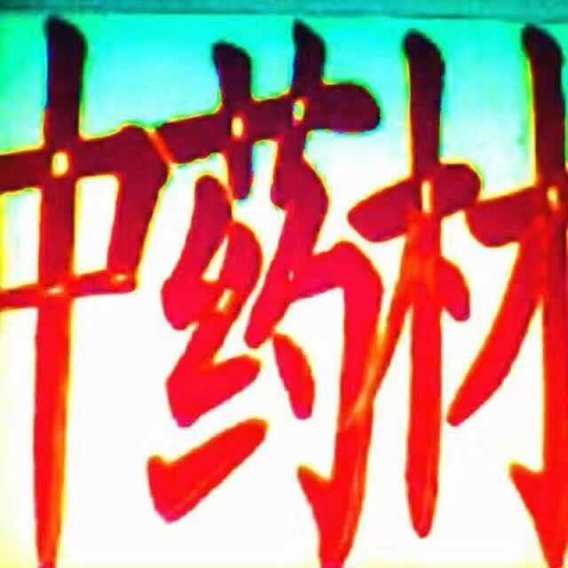 常年吴茱萸苗出售