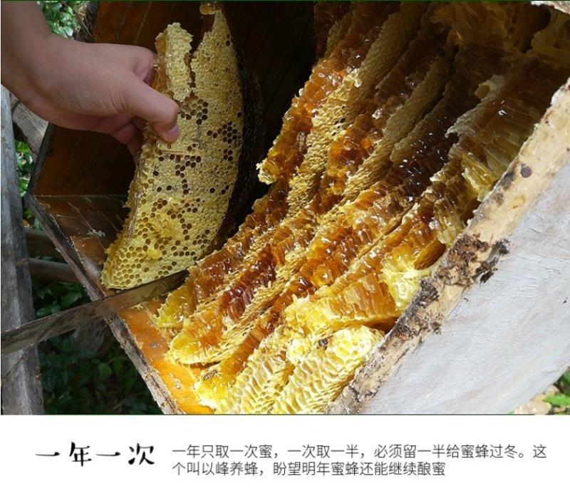 秦岭天然野生农家自产自销棒棒桶土蜂蜜2斤起发