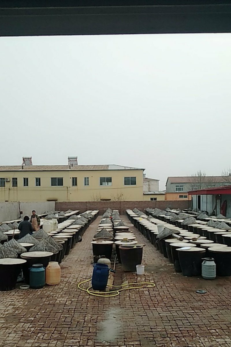 低盐虾酱传统工艺，自然发酵手工制作虾皮酱蜢子