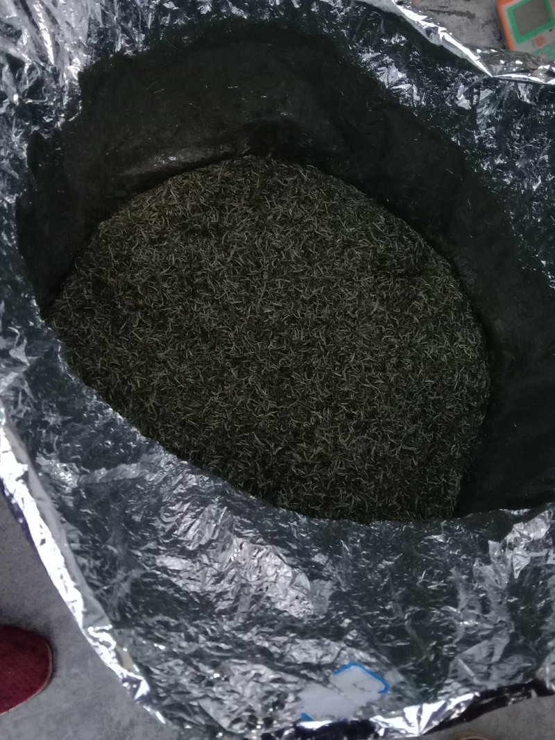 黄金茶