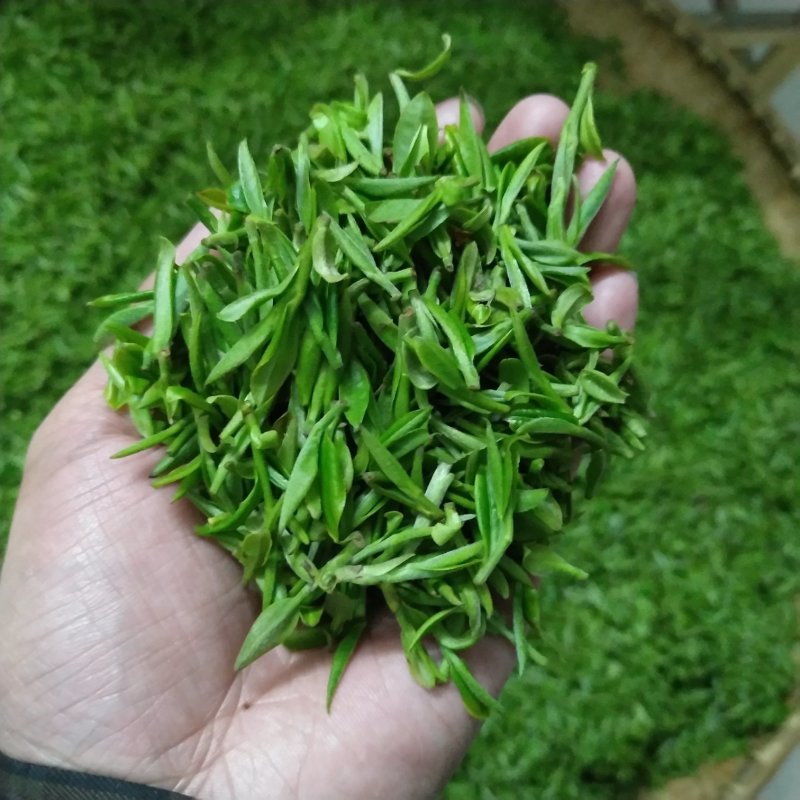 湖北省大悟县（将军县）绿茶