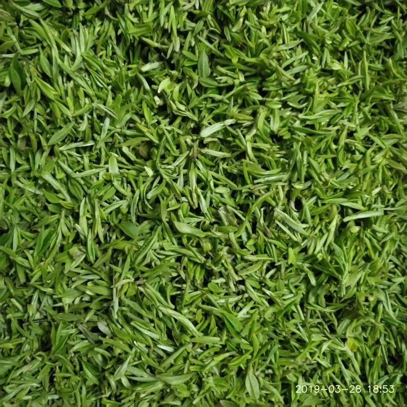 湖北省大悟县（将军县）绿茶