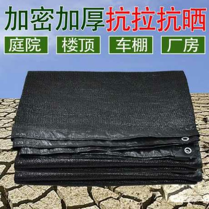 遮阳网