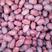 若羌枣农自产自销优质吊干红枣，一级，干度好，品质优，货源