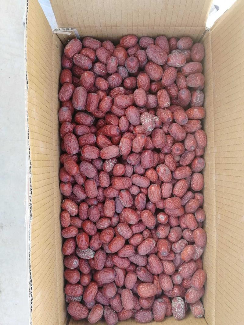 若羌枣农自产自销优质吊干红枣，一级，干度好，品质优，货源