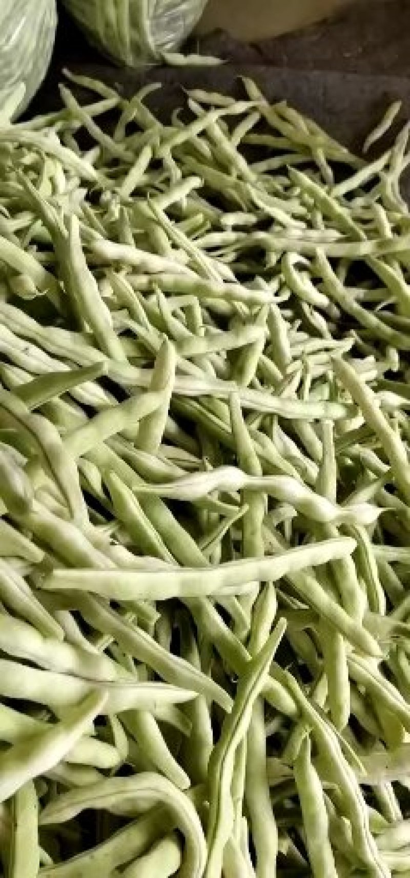 白云豆，四季豆，黄瓜