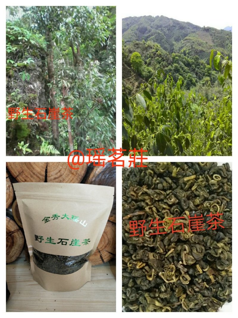 大瑶山野生石崖茶养生茶明前头春茶嫩芽量大价优