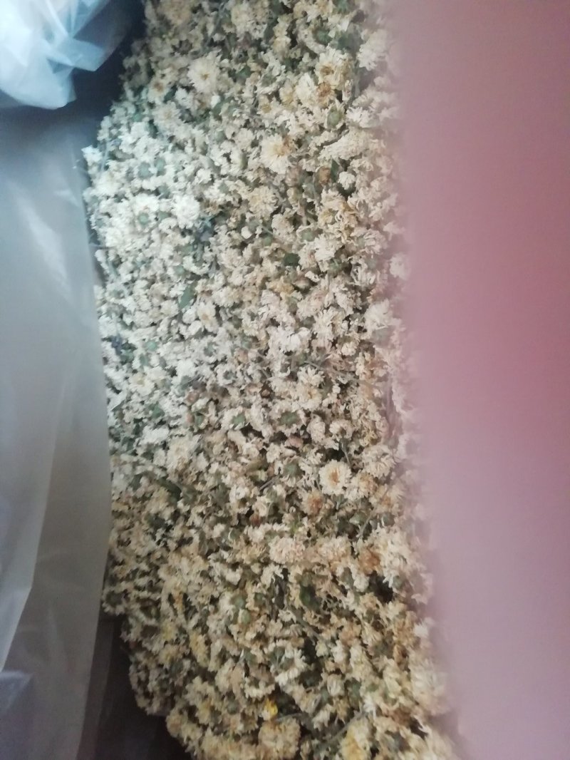 怀菊花