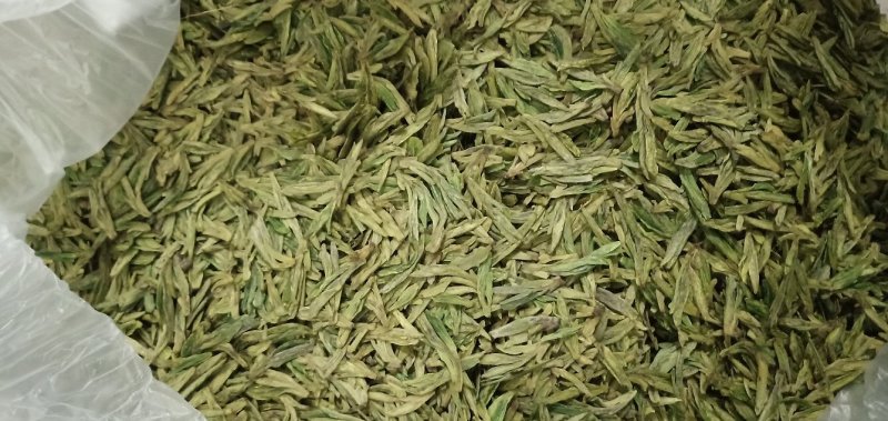 高山云雾茶