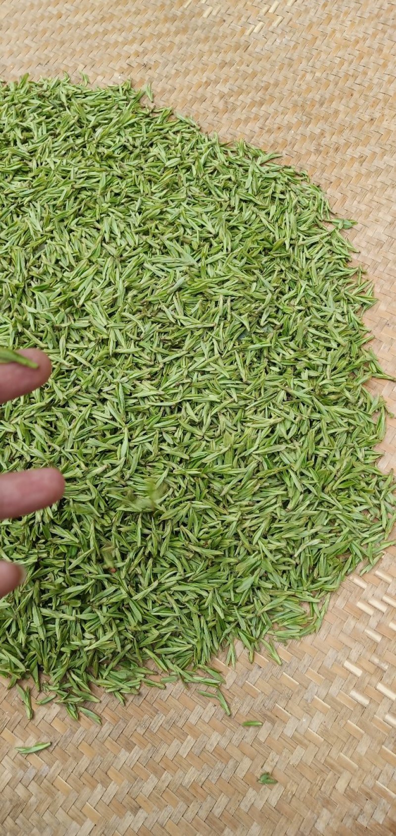 高山云雾茶