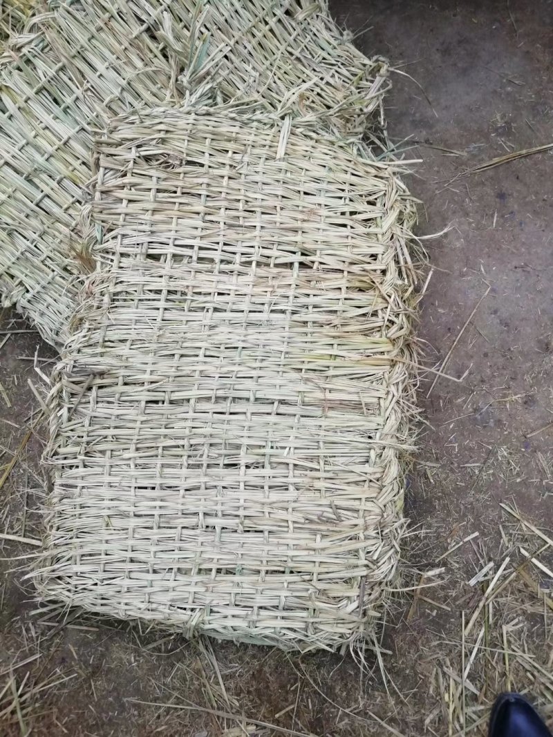 供应各种草绳、草皮