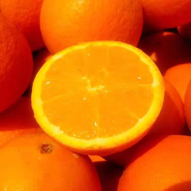 伦晚脐橙电商商超社团市场外贸农户一手货