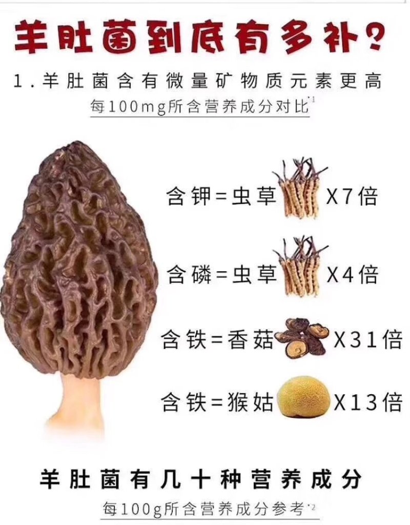 电商微商直供2020高原羊肚菌干货100克一袋包邮