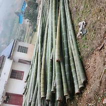 大量供应楠竹，竹跳板，可以订做各种规格！