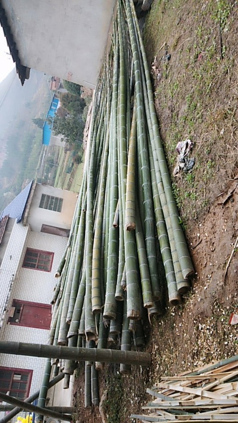大量供应楠竹，竹跳板，可以订做各种规格！
