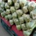 绿甘蓝精品1.5一2斤精品货源