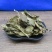斑叶兰银线莲统装无硫干货批发零售冷背中药材