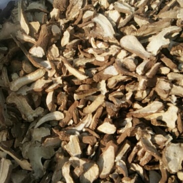 白术片