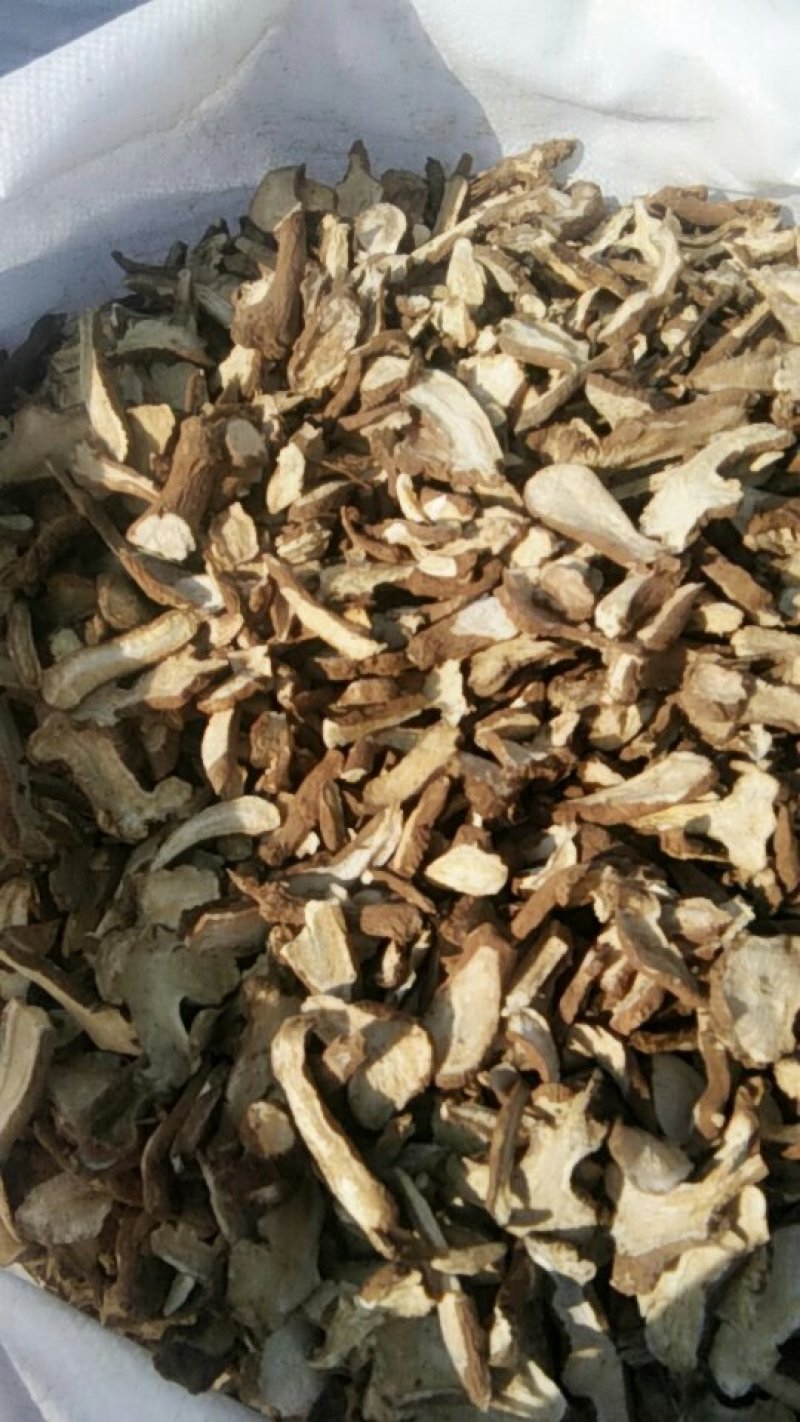 白术片