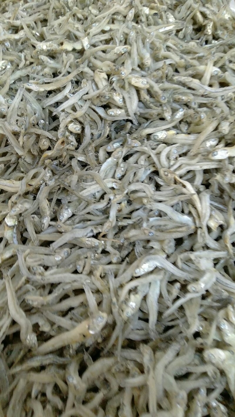 公仔鱼干