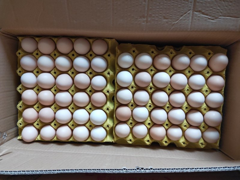粉蛋食用50~60g