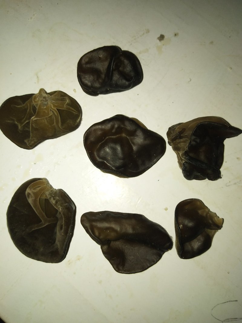 头茬黑木耳