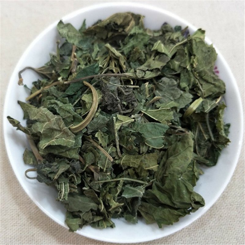 桑叶药用桑叶青桑叶霜桑叶批发零售冷背中药材