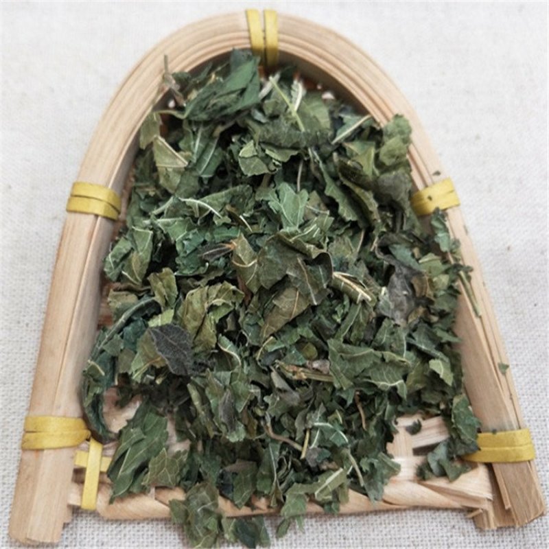 桑叶药用桑叶青桑叶霜桑叶批发零售冷背中药材