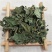 桑叶药用桑叶青桑叶霜桑叶批发零售冷背中药材