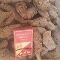 常年大量供应地黄，产地直供自产自销，含量足