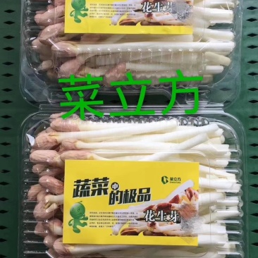 精品花生芽