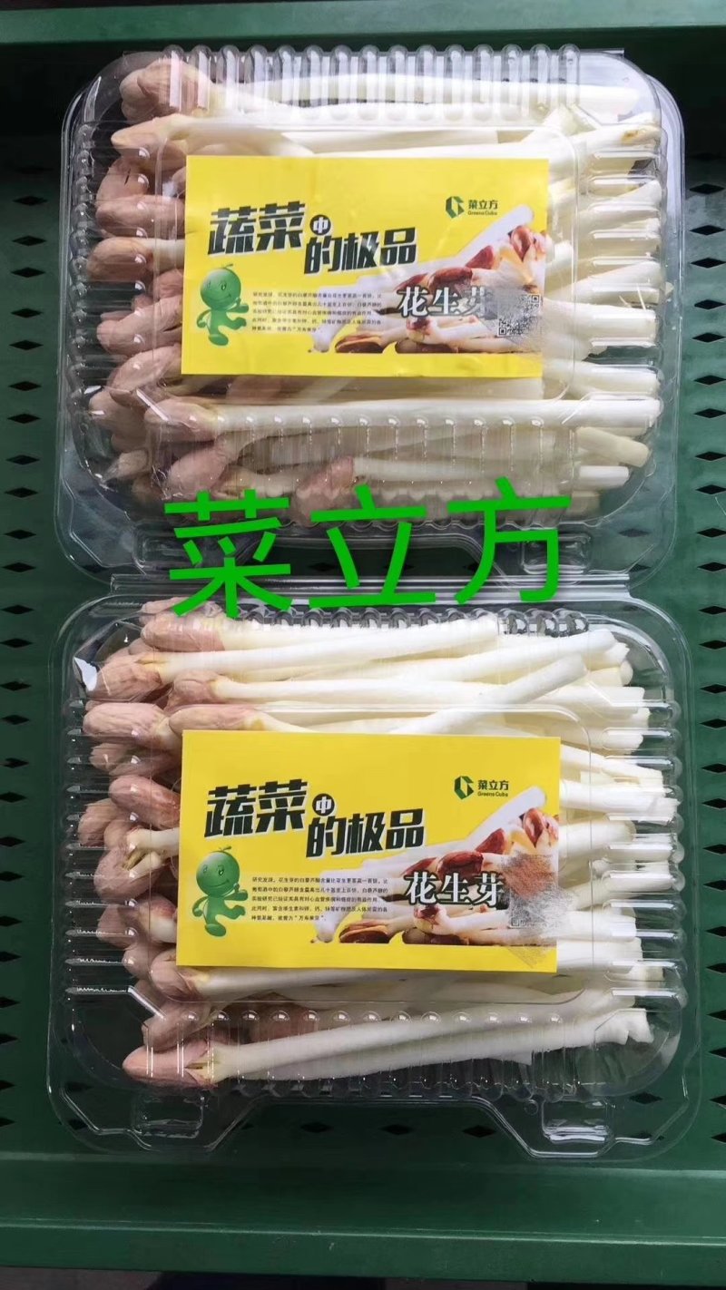 精品花生芽