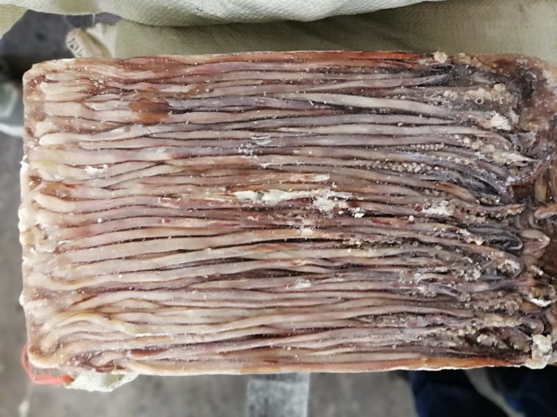 鱿鱼须水足鱿鱼长须秘鲁鱿鱼长须秘鲁水足印度洋水足