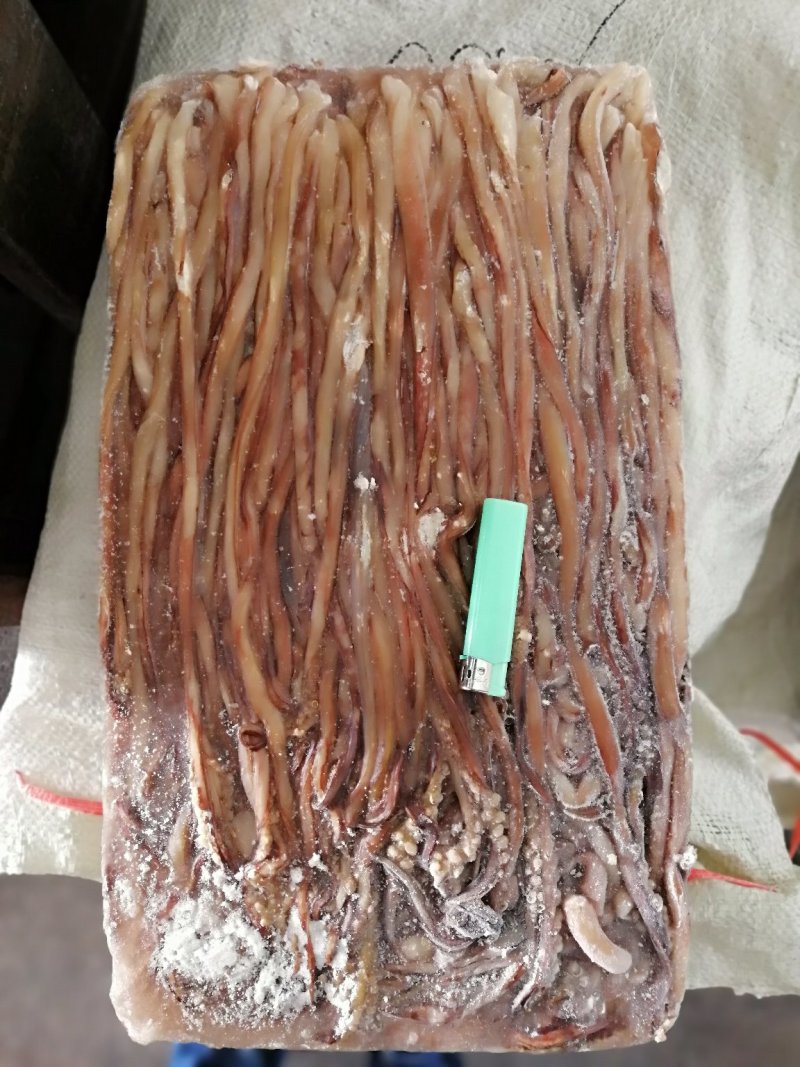 鱿鱼须水足鱿鱼长须秘鲁鱿鱼长须秘鲁水足印度洋水足
