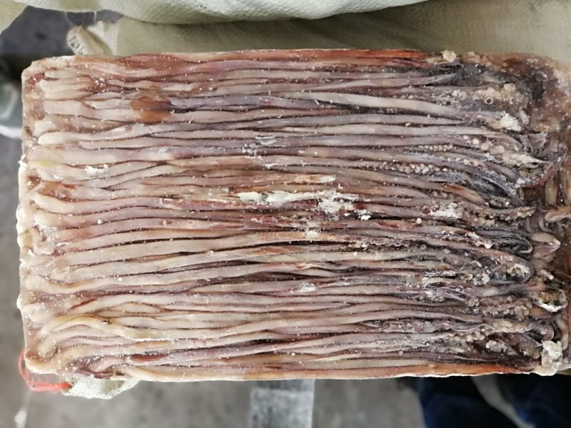 鱿鱼须水足鱿鱼长须秘鲁鱿鱼长须秘鲁水足印度洋水足