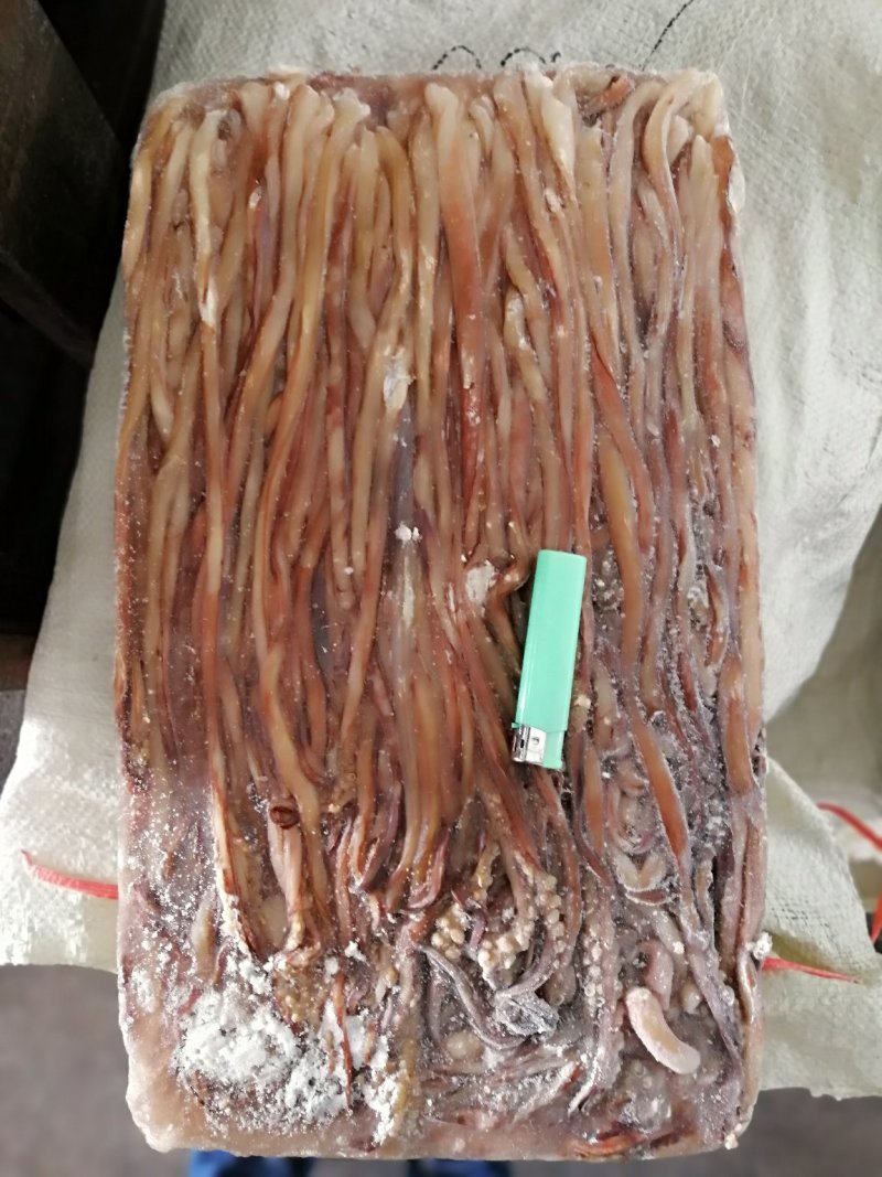 鱿鱼须水足鱿鱼长须秘鲁鱿鱼长须秘鲁水足印度洋水足