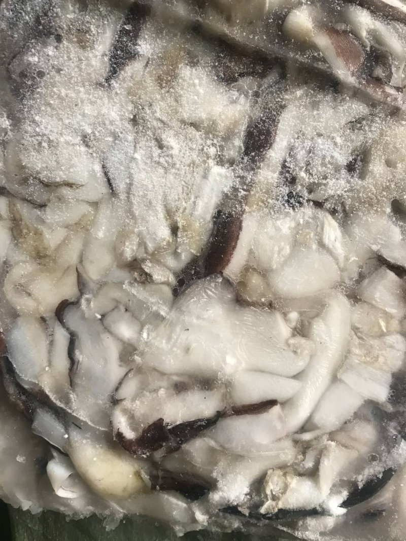 秘鲁去皮碎肉鱿鱼边角料鱿鱼条带皮鱿鱼碎肉