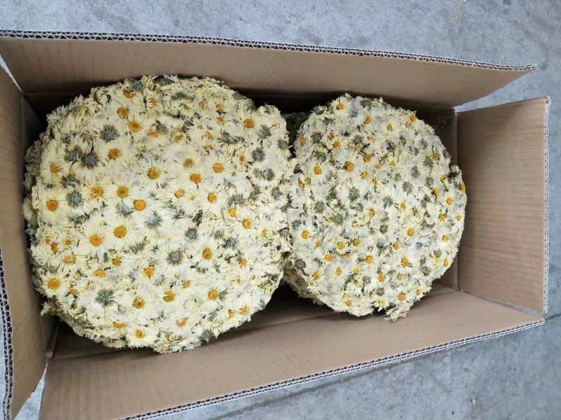 正宗福田河精品胎菊半斤￥45