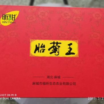 正宗福田河胎菊王礼盒装200g
