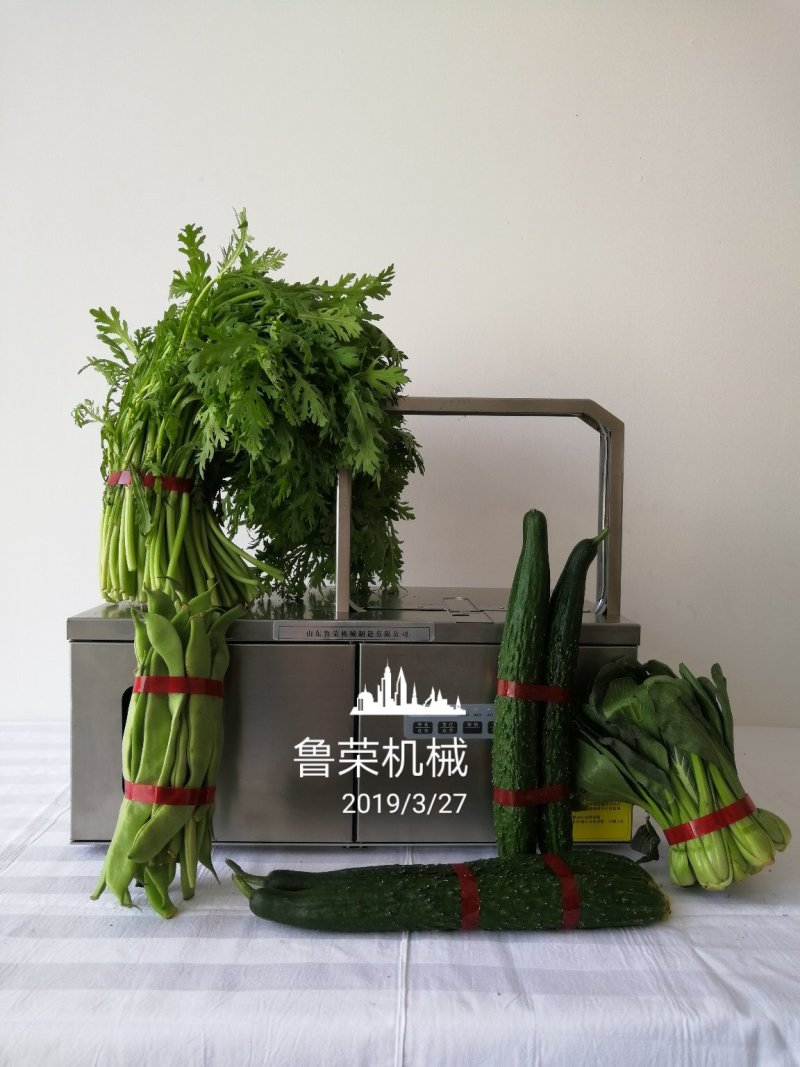 超市蔬菜粉条捆扎机