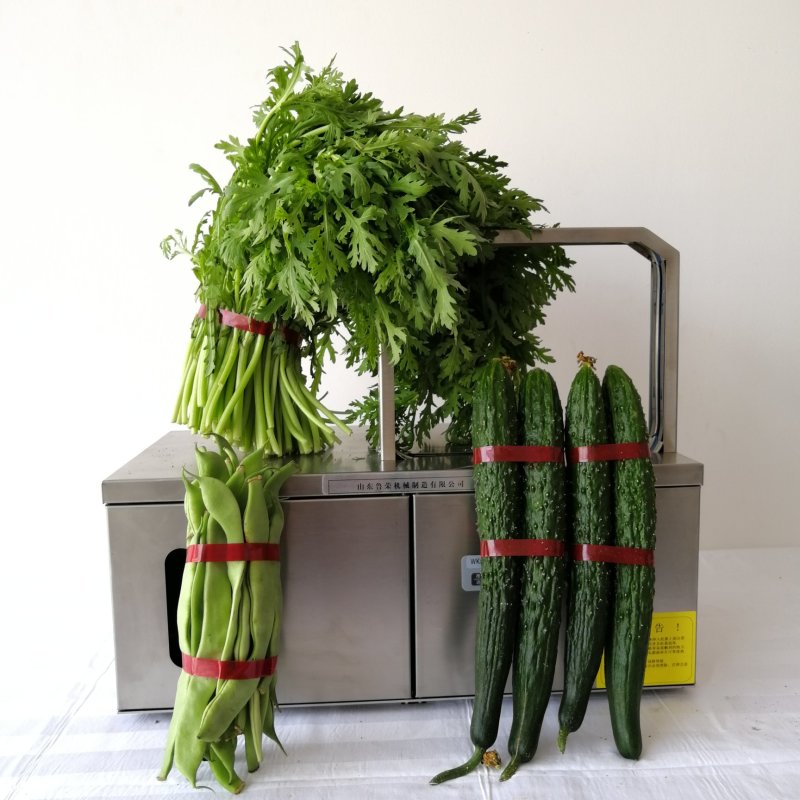 超市蔬菜粉条捆扎机