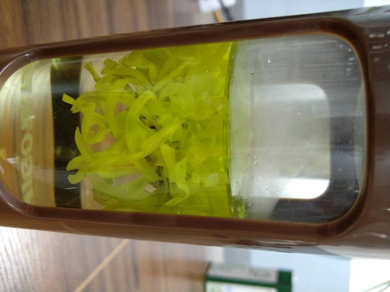 金丝皇菊